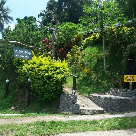 Gecko Lodge Fiji Savusavu Bagian luar foto