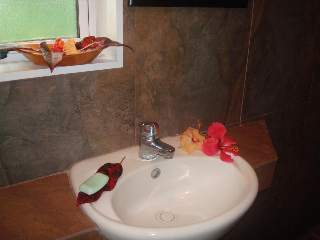 Gecko Lodge Fiji Savusavu Ruang foto