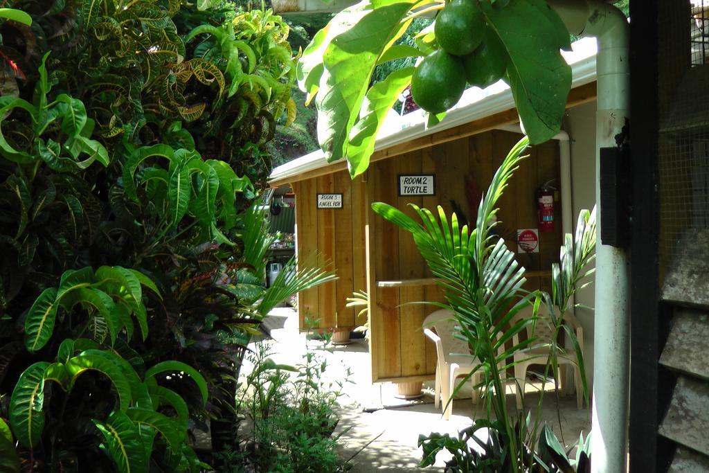 Gecko Lodge Fiji Savusavu Bagian luar foto