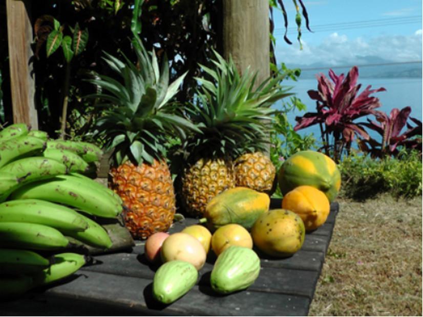 Gecko Lodge Fiji Savusavu Bagian luar foto