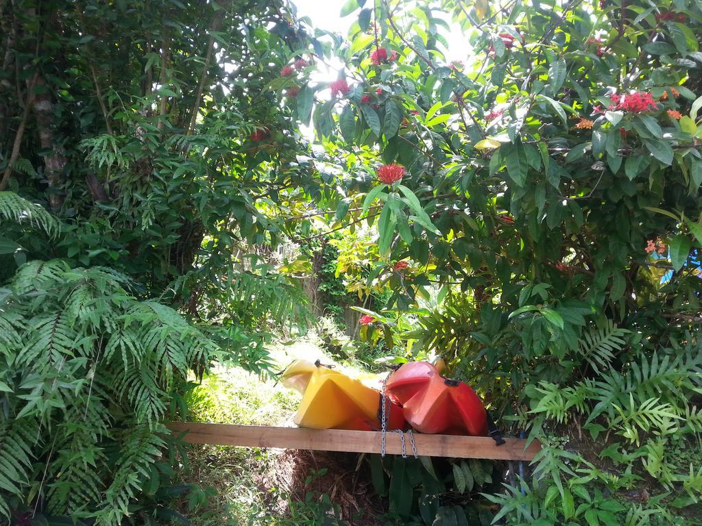 Gecko Lodge Fiji Savusavu Bagian luar foto