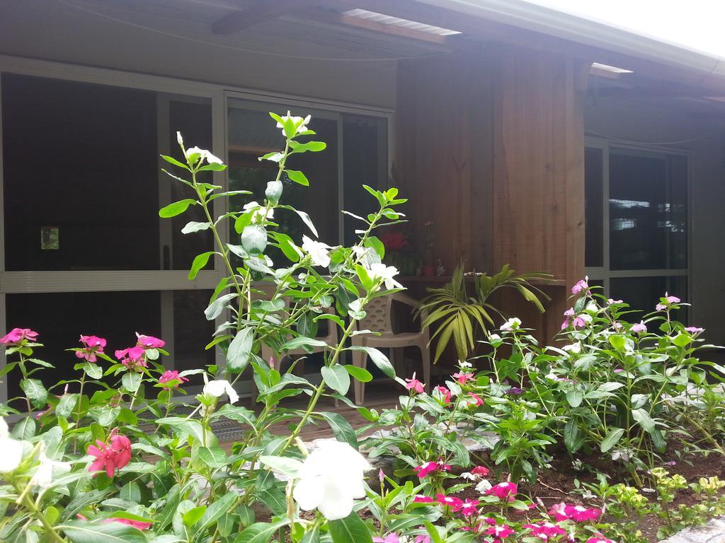 Gecko Lodge Fiji Savusavu Bagian luar foto